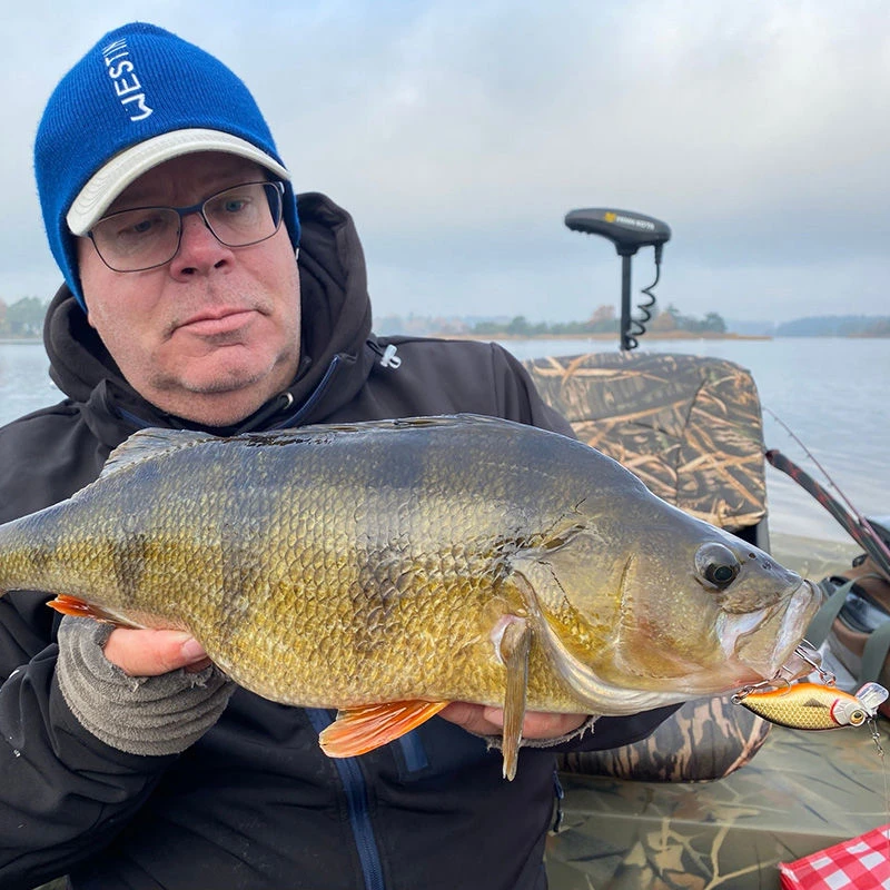 Westin Buzzbite Crankbaits 5cm/6g